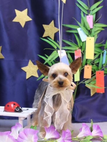 20230726ノアくん